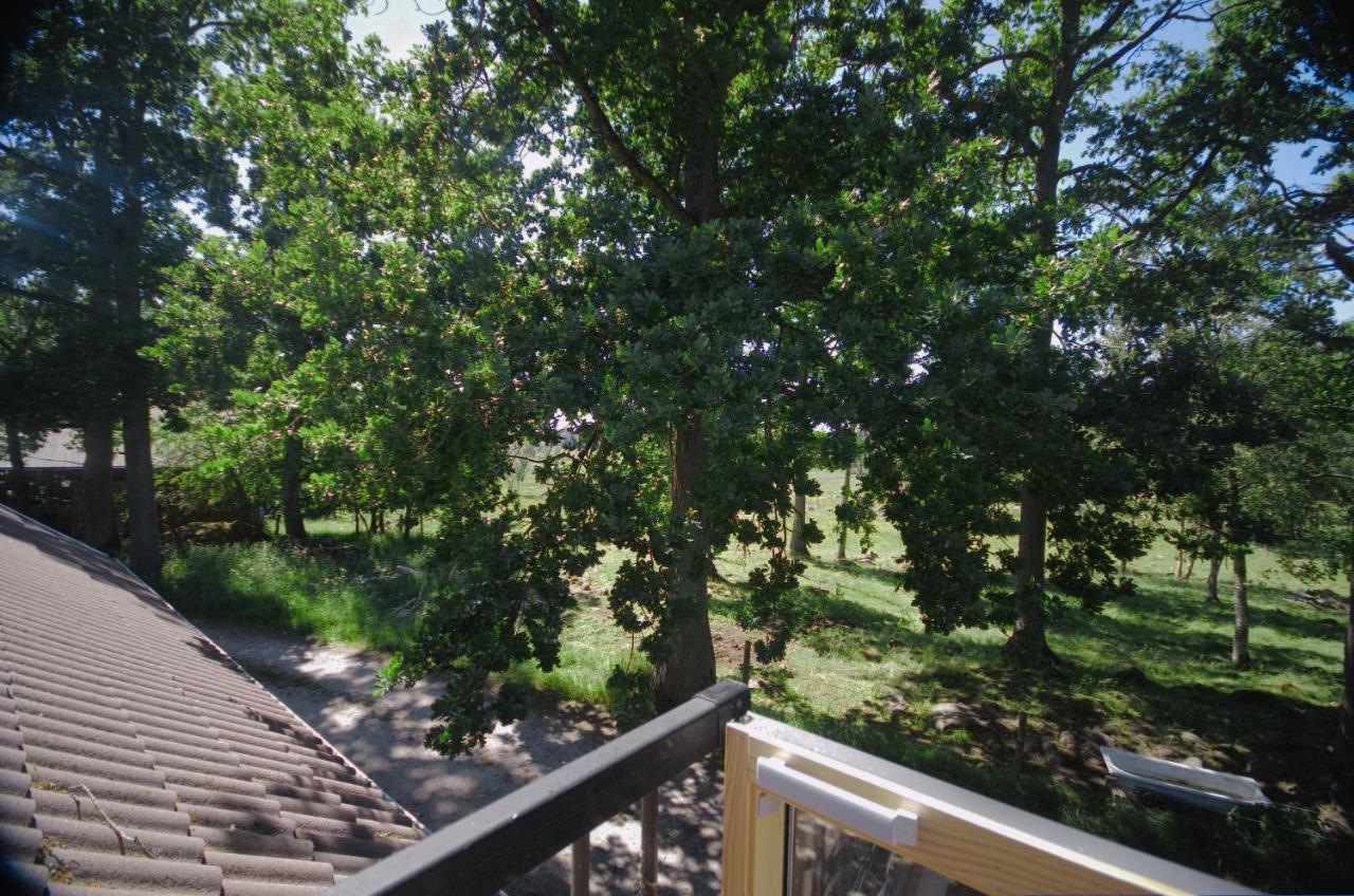 Gaeststugan Skara Exteriér fotografie