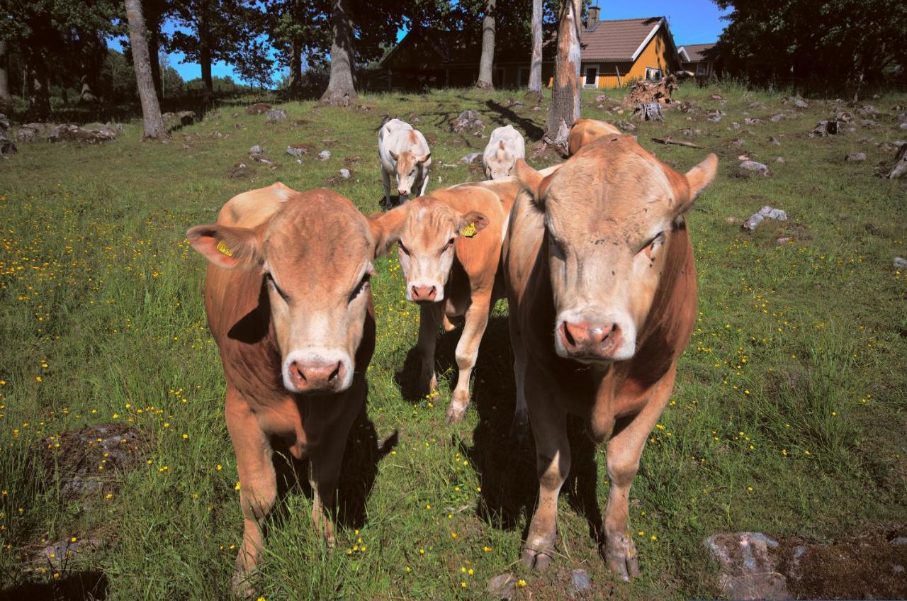 Gaeststugan Skara Exteriér fotografie