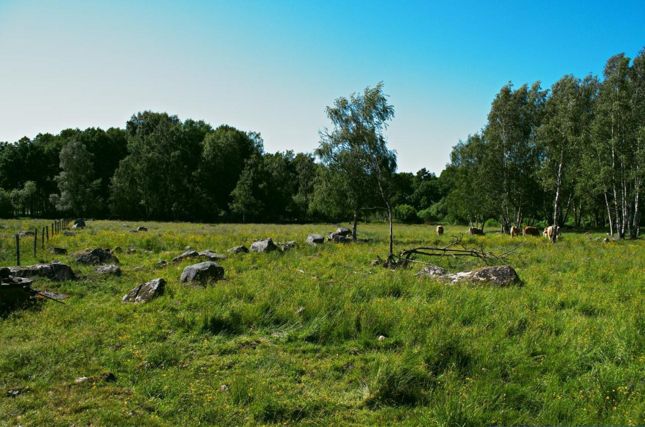 Gaeststugan Skara Exteriér fotografie
