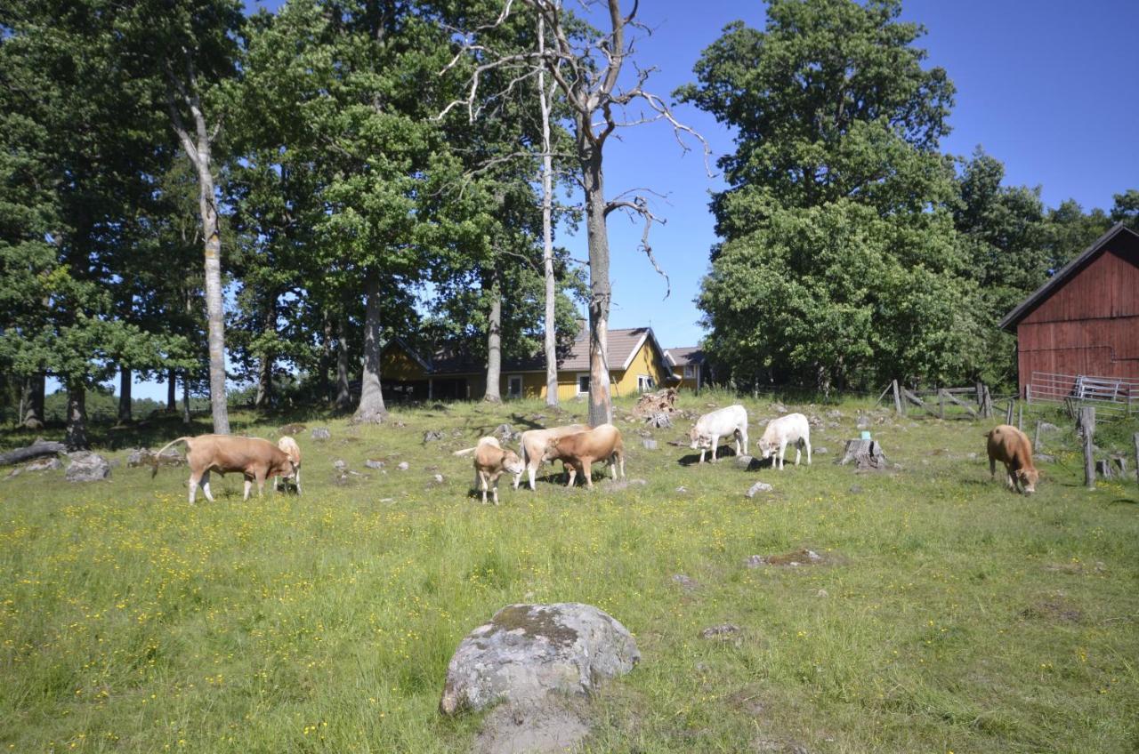 Gaeststugan Skara Exteriér fotografie