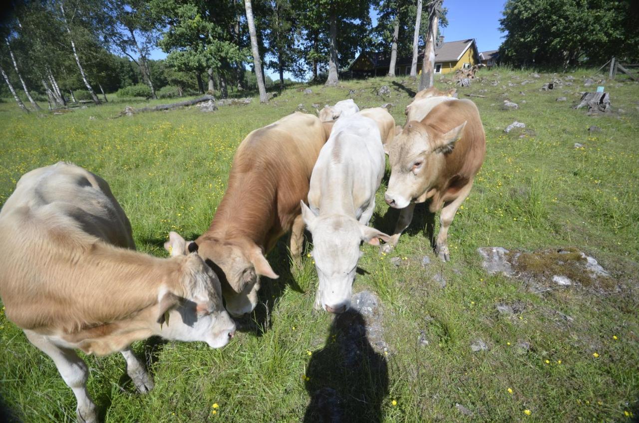 Gaeststugan Skara Exteriér fotografie